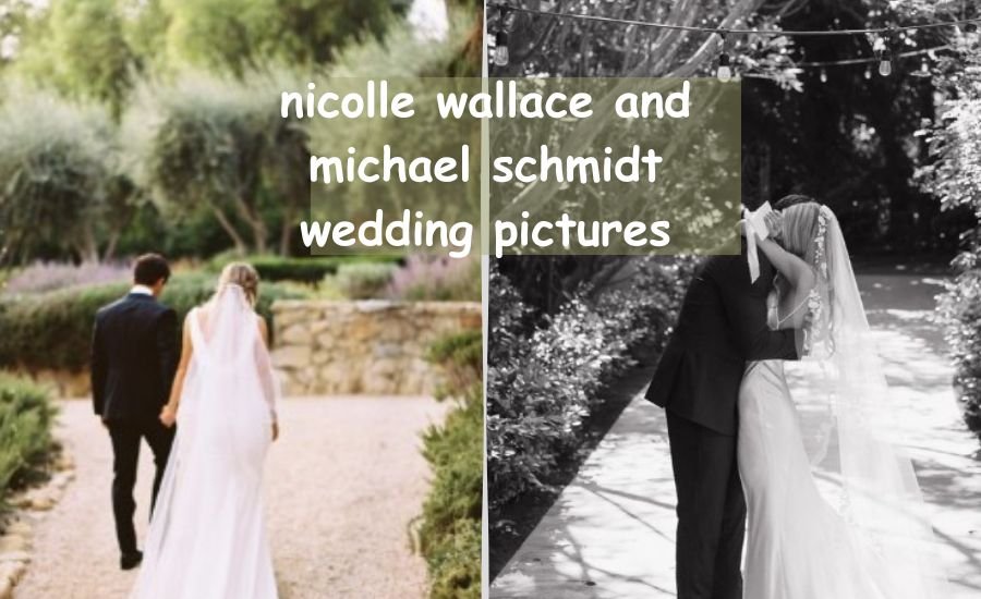 nicolle wallace and michael schmidt wedding pictures