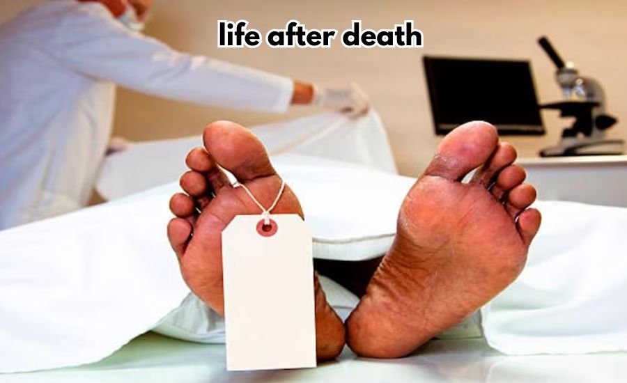 life after death