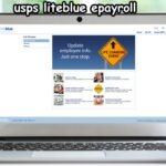 usps liteblue epayroll